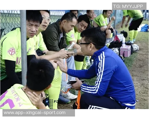 足球公猫的奇妙冒险与球场上的友谊故事 足球公猫的奇妙冒险与球场上的友谊故事